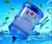 鞍山圣驼山水之源润泽万家